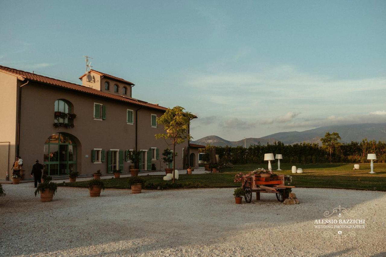 Fattoria L'Olmetto Villa Пиза Екстериор снимка