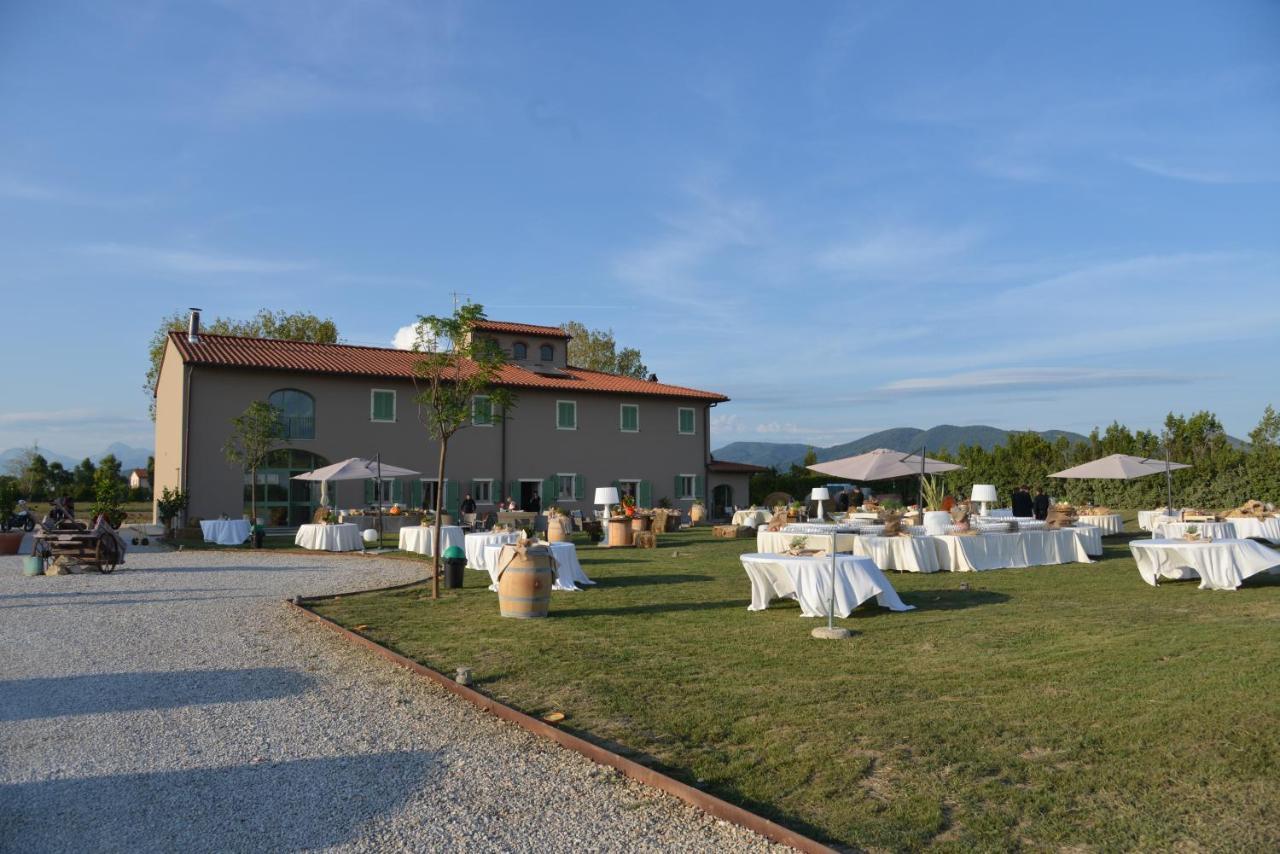 Fattoria L'Olmetto Villa Пиза Екстериор снимка