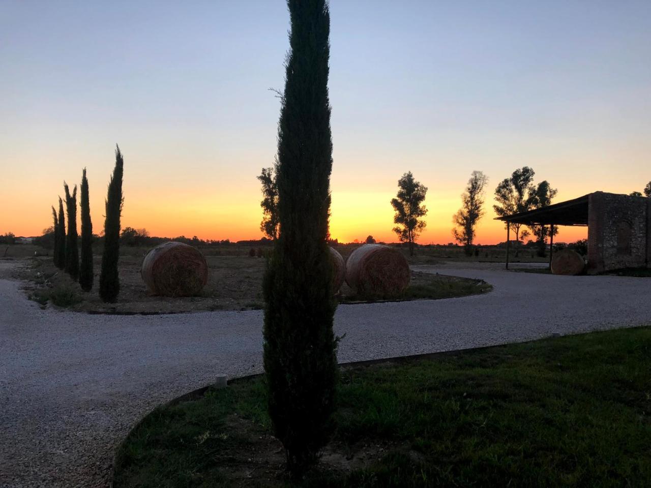 Fattoria L'Olmetto Villa Пиза Екстериор снимка