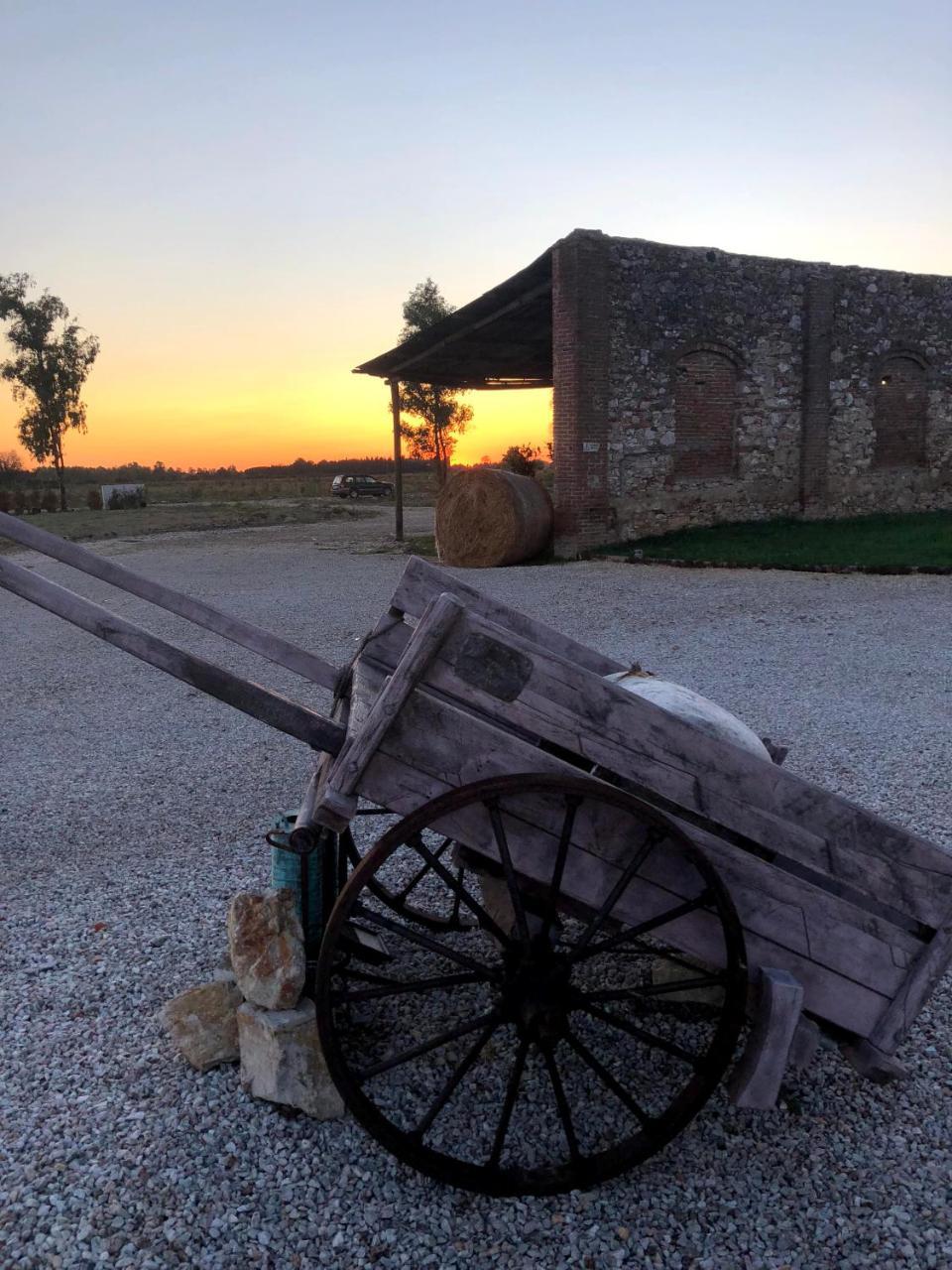 Fattoria L'Olmetto Villa Пиза Екстериор снимка