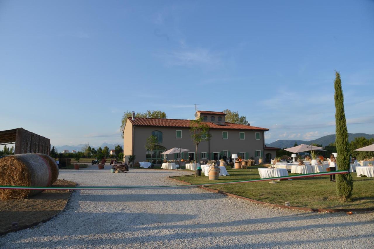 Fattoria L'Olmetto Villa Пиза Екстериор снимка