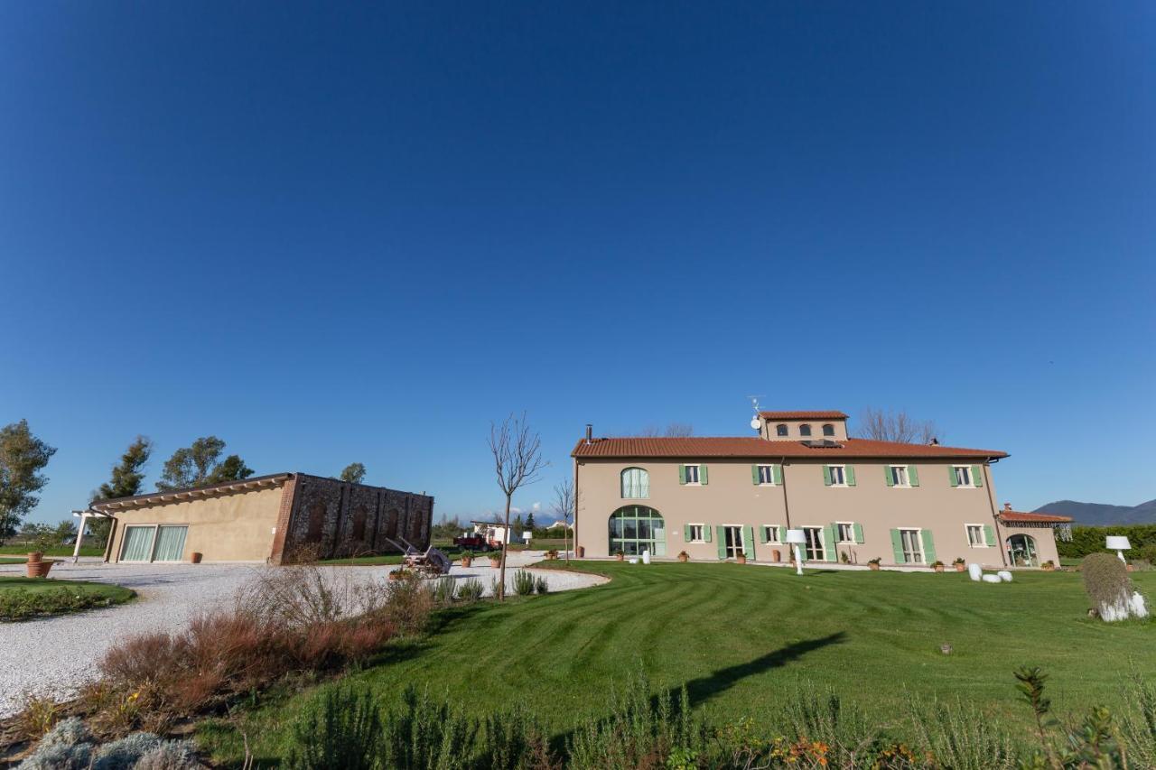 Fattoria L'Olmetto Villa Пиза Екстериор снимка