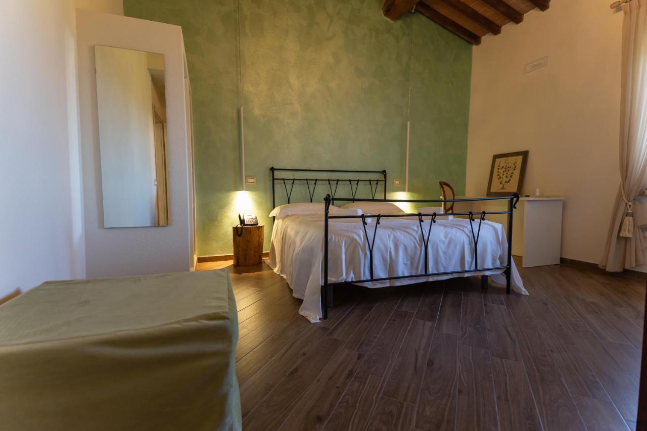 Fattoria L'Olmetto Villa Пиза Екстериор снимка